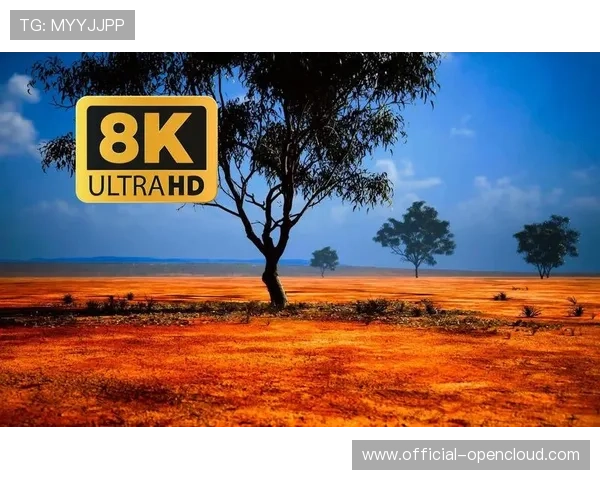 8K HDR流程打通，展现更多画面细节